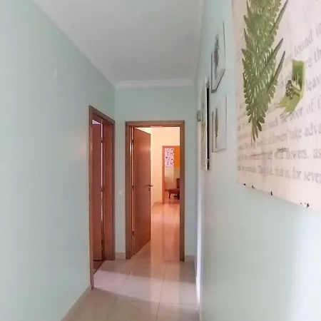 Il Gabbiano * Лагуш